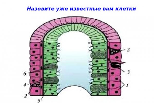 Кракен даркнет 2krnk biz